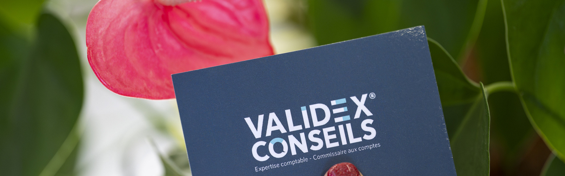 Carte Validex Conseils